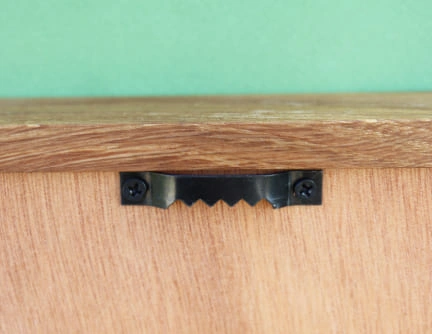 Tableau 25cm résine epoxy inclusion squelettes feuilles blanches naturelles cadre en chêne